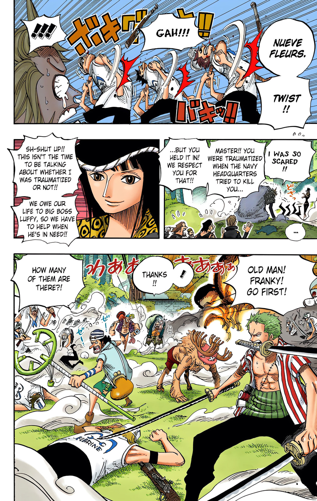 Read One Piece (Colored) chapter 505 image 14 on Lezhin