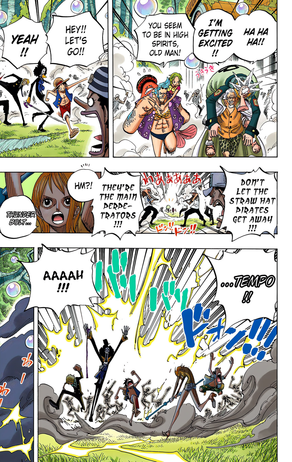 Read One Piece (Colored) chapter 505 image 15 on Lezhin