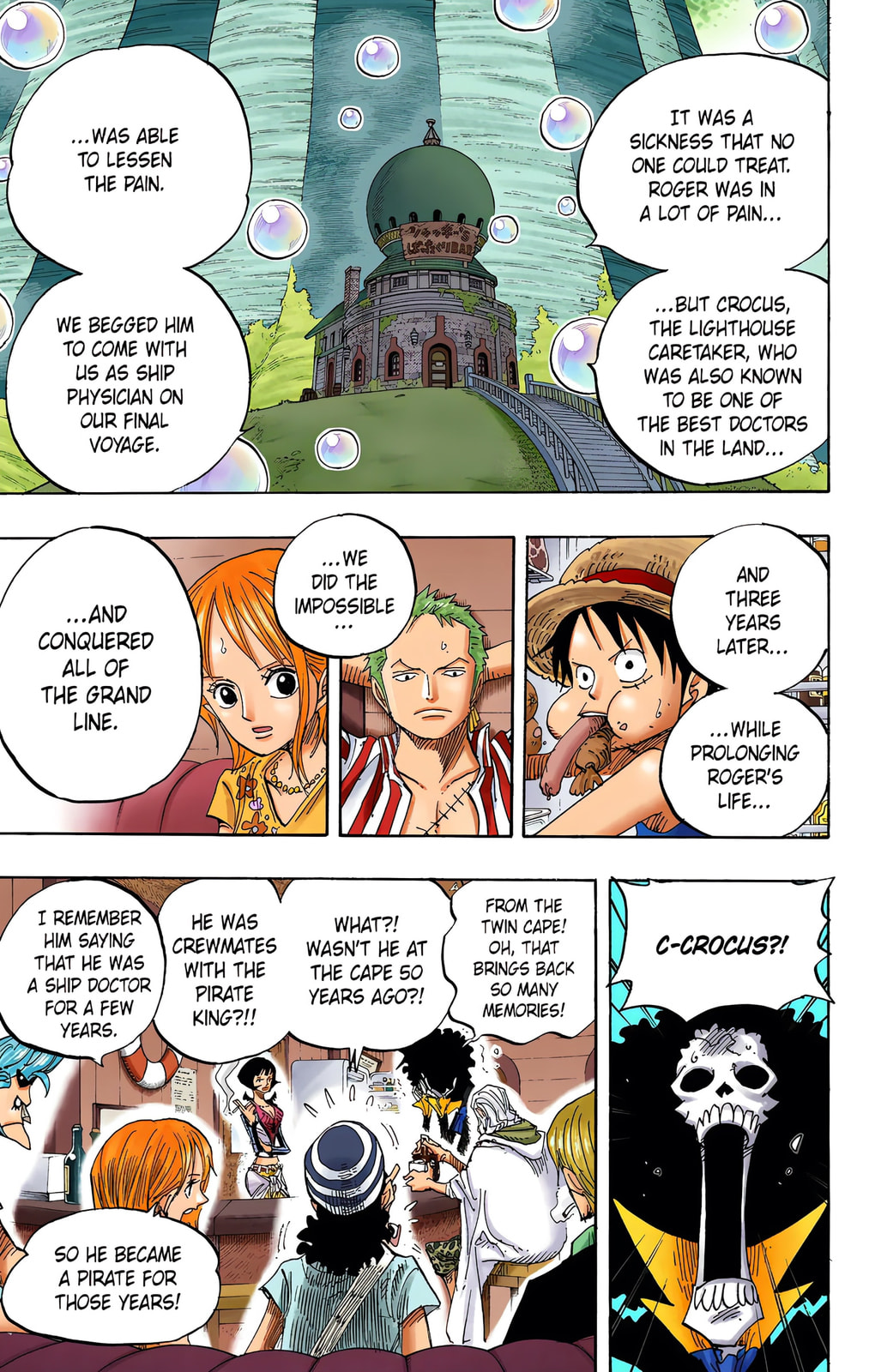 Read One Piece (Colored) chapter 506 image 10 on Lezhin