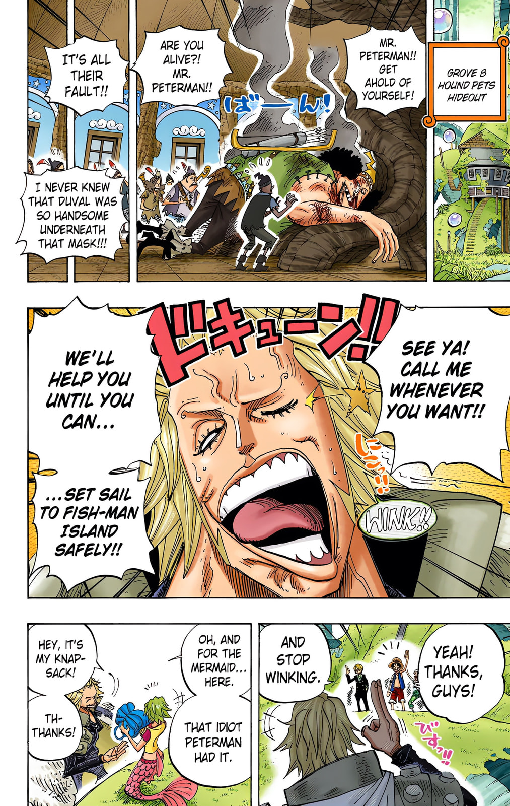 Read One Piece (Colored) chapter 506 image 5 on Lezhin