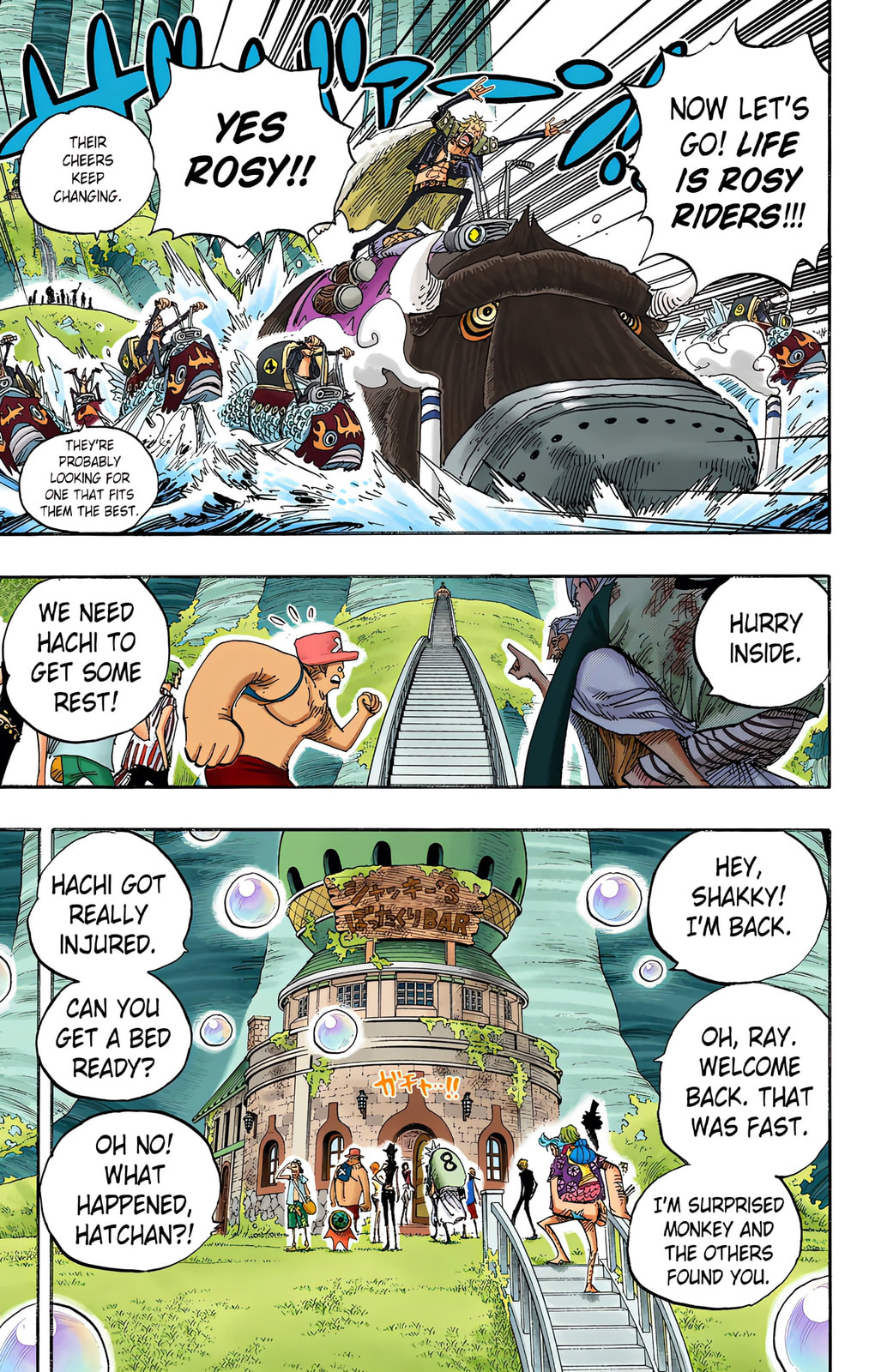 Read One Piece (Colored) chapter 506 image 6 on Lezhin