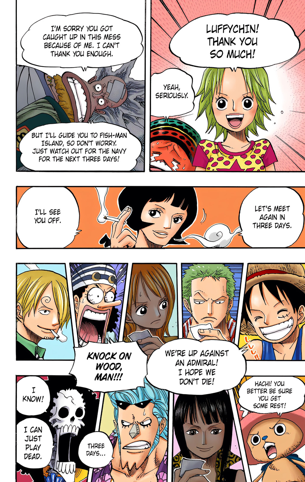Read One Piece (Colored) chapter 507 image 11 on Lezhin