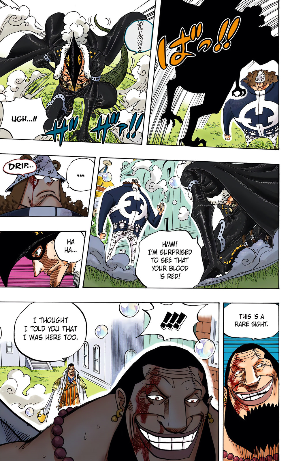 Read One Piece (Colored) chapter 509 image 12 on Lezhin