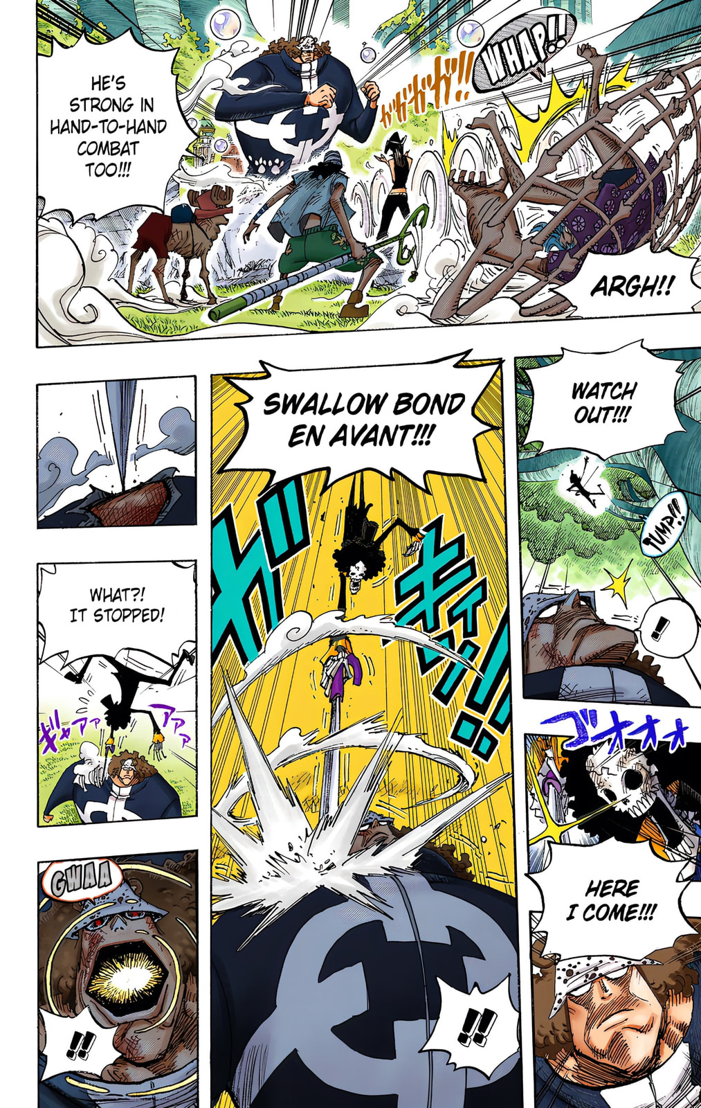 Read One Piece (Colored) chapter 510 image 11 on Lezhin