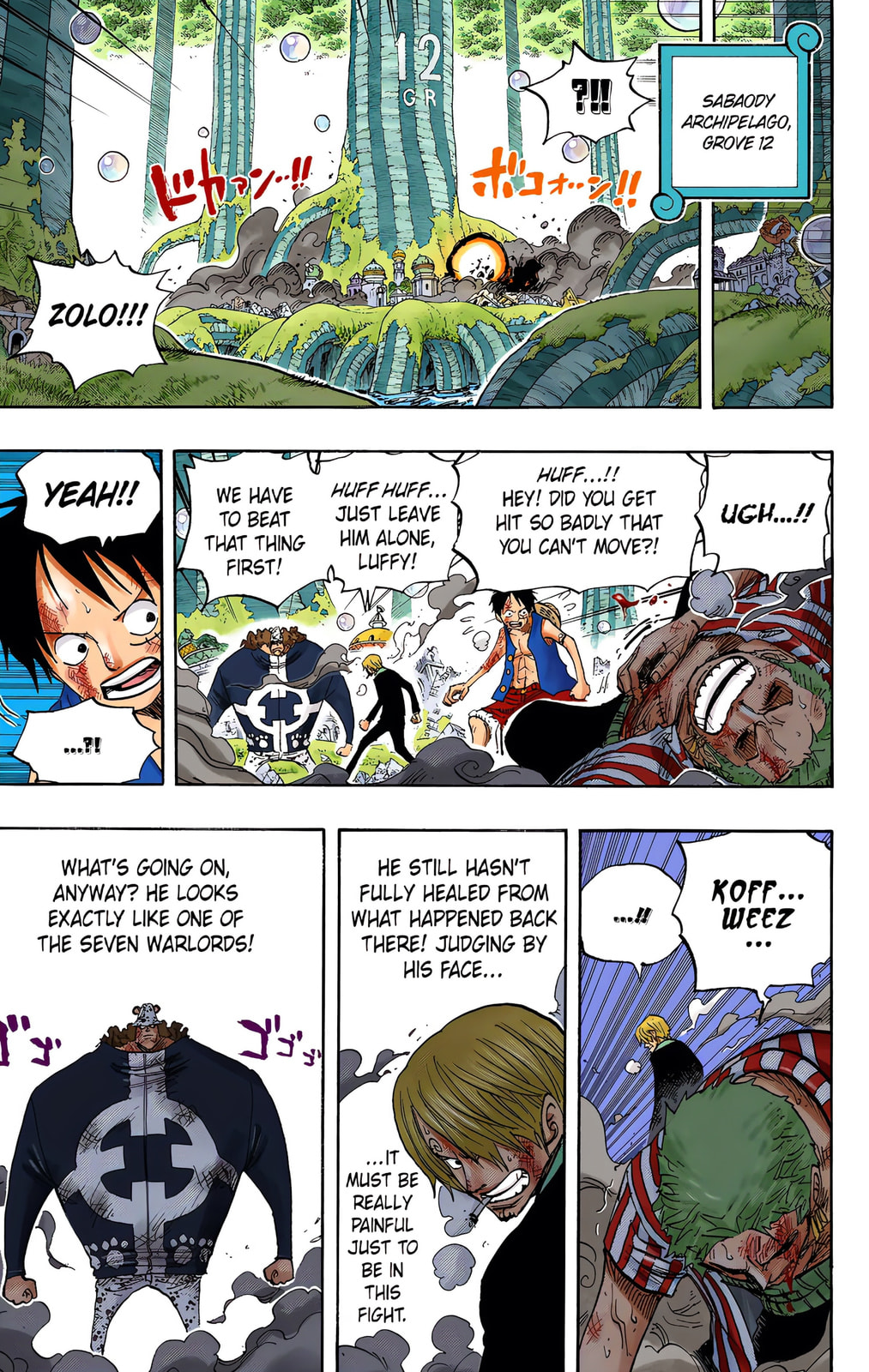 Read One Piece (Colored) chapter 510 image 8 on Lezhin