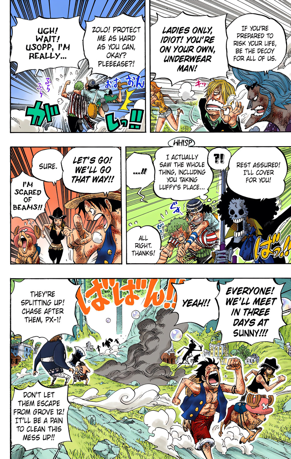 Read One Piece (Colored) chapter 511 image 8 on Lezhin