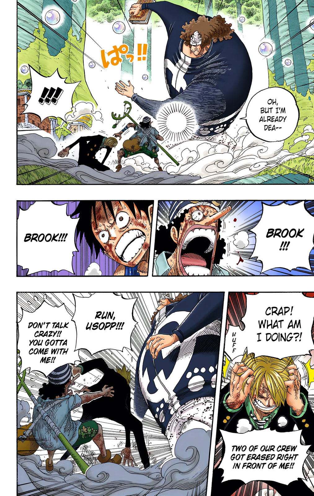 Read One Piece (Colored) chapter 513 image 6 on Lezhin