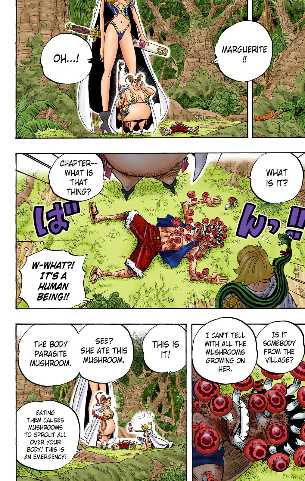 Read One Piece (Colored) chapter 514 image 12 on Lezhin