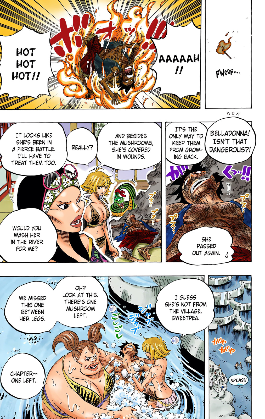 Read One Piece (Colored) chapter 514 image 15 on Lezhin