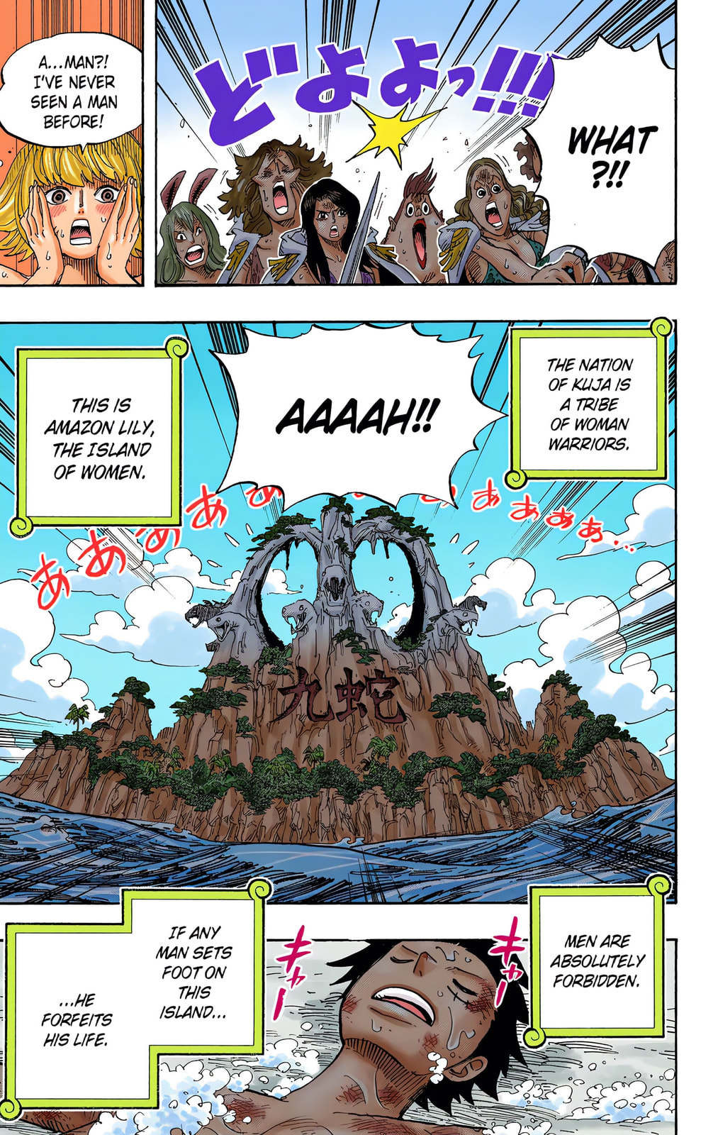 Read One Piece (Colored) chapter 514 image 17 on Lezhin