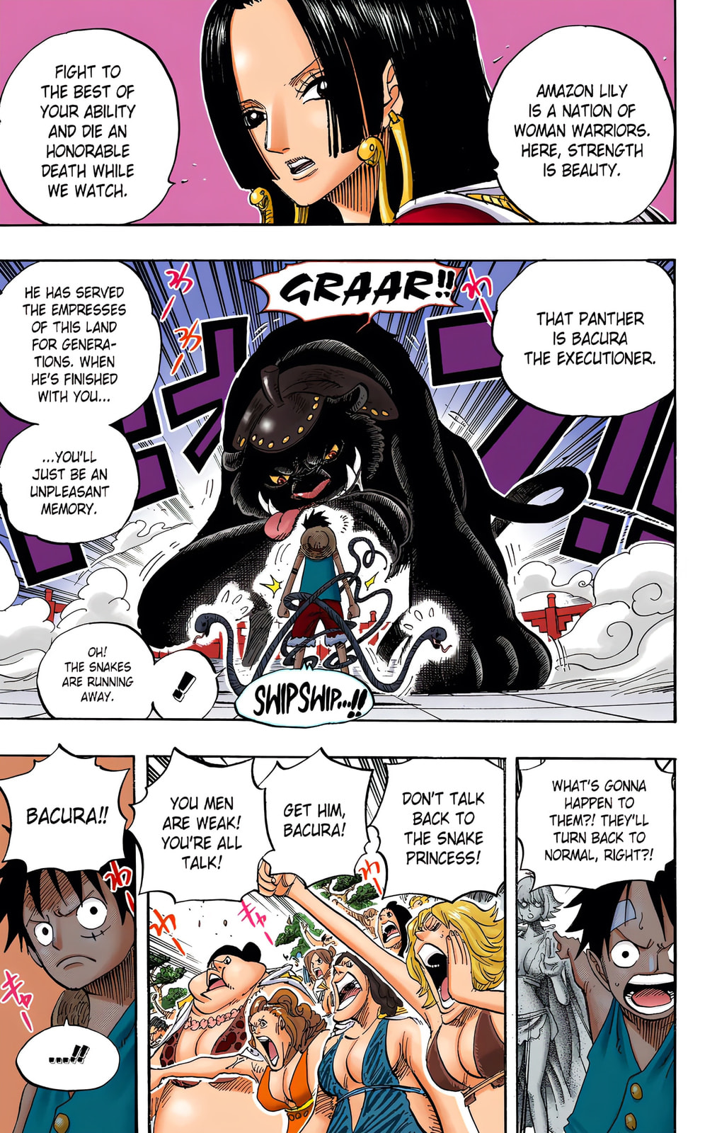 Read One Piece (Colored) chapter 518 image 12 on Lezhin