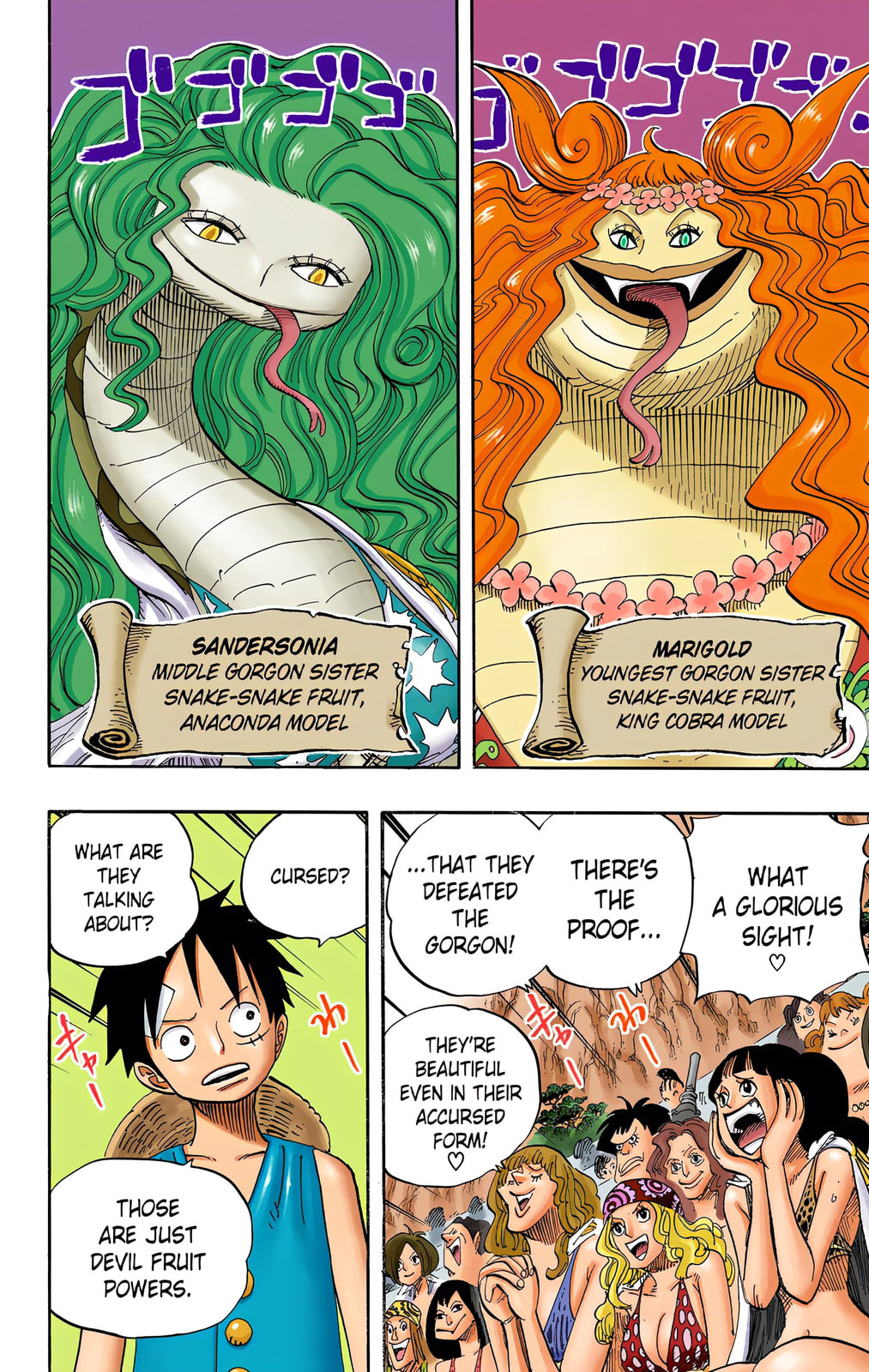 Read One Piece (Colored) chapter 519 image 1 on Lezhin