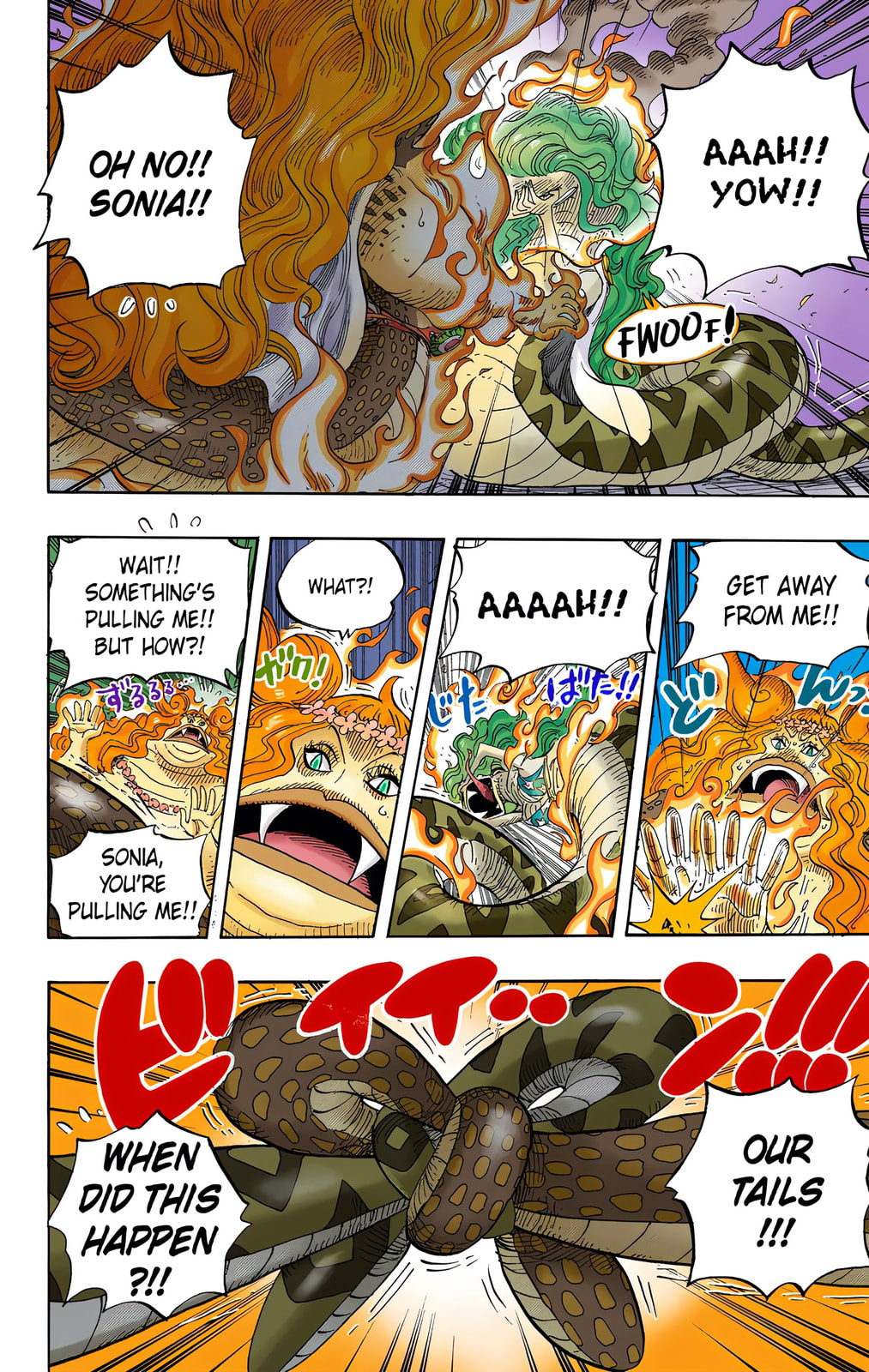 Read One Piece (Colored) chapter 520 image 12 on Lezhin