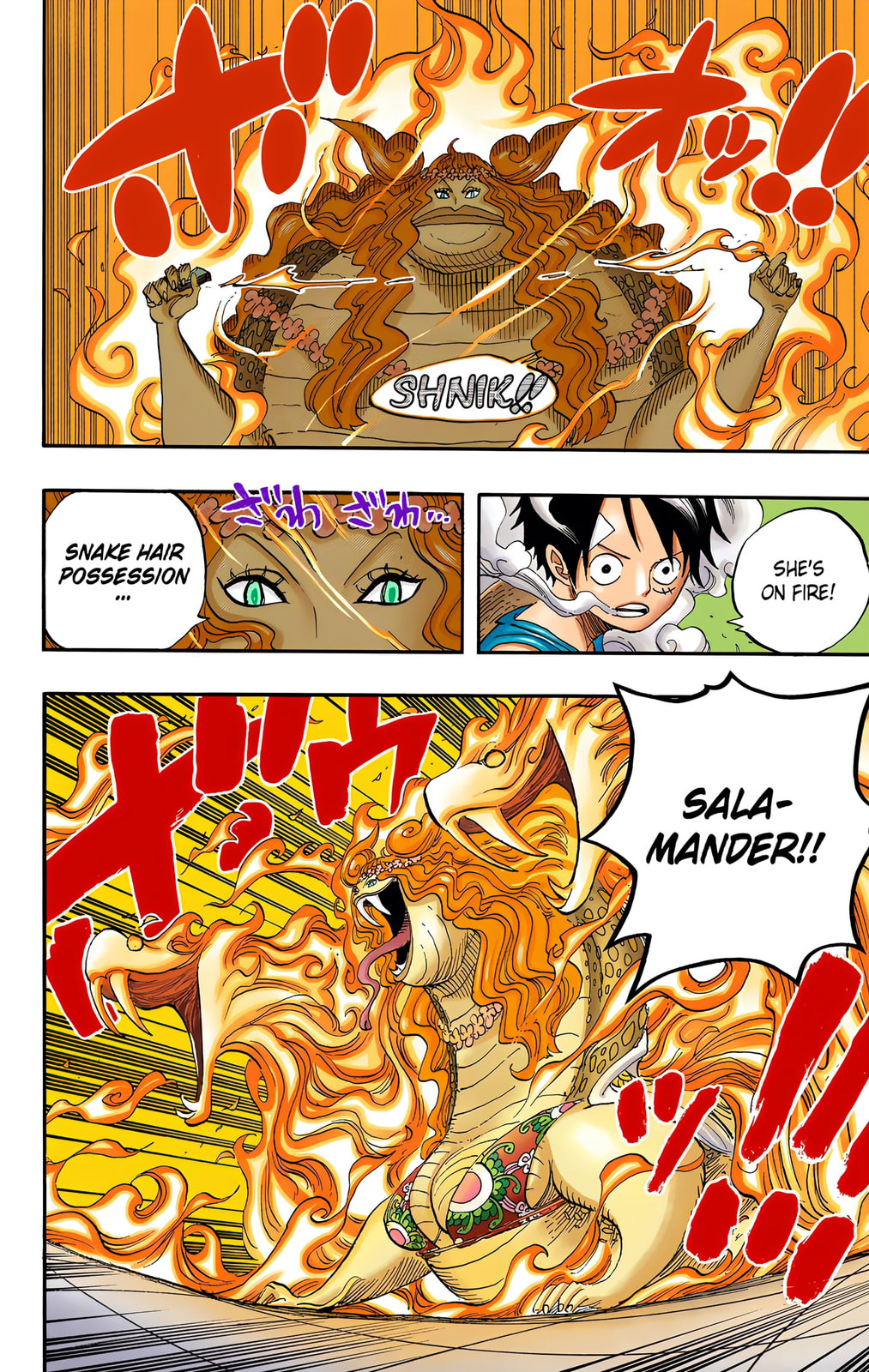 Read One Piece (Colored) chapter 520 image 9 on Lezhin