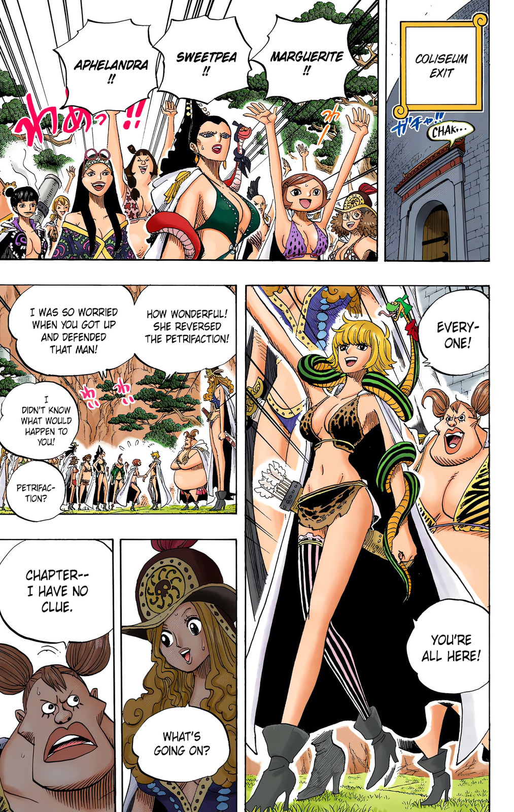 Read One Piece (Colored) chapter 521 image 4 on Lezhin