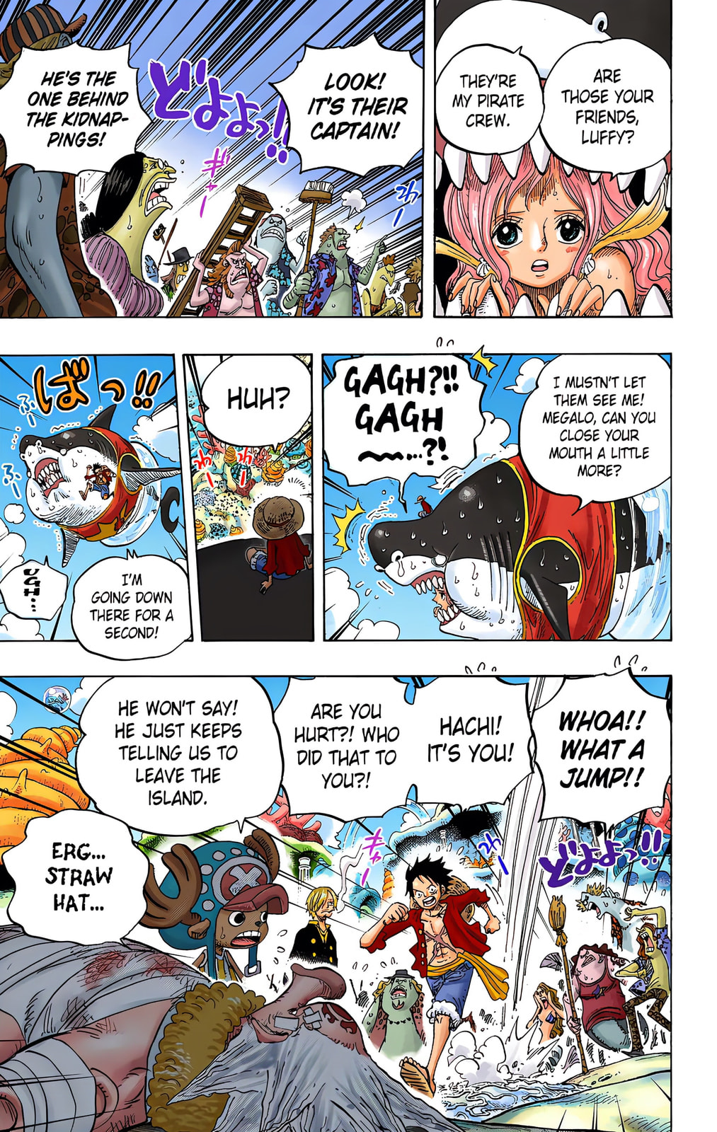 Read One Piece (Colored) chapter 617 image 14 on Lezhin