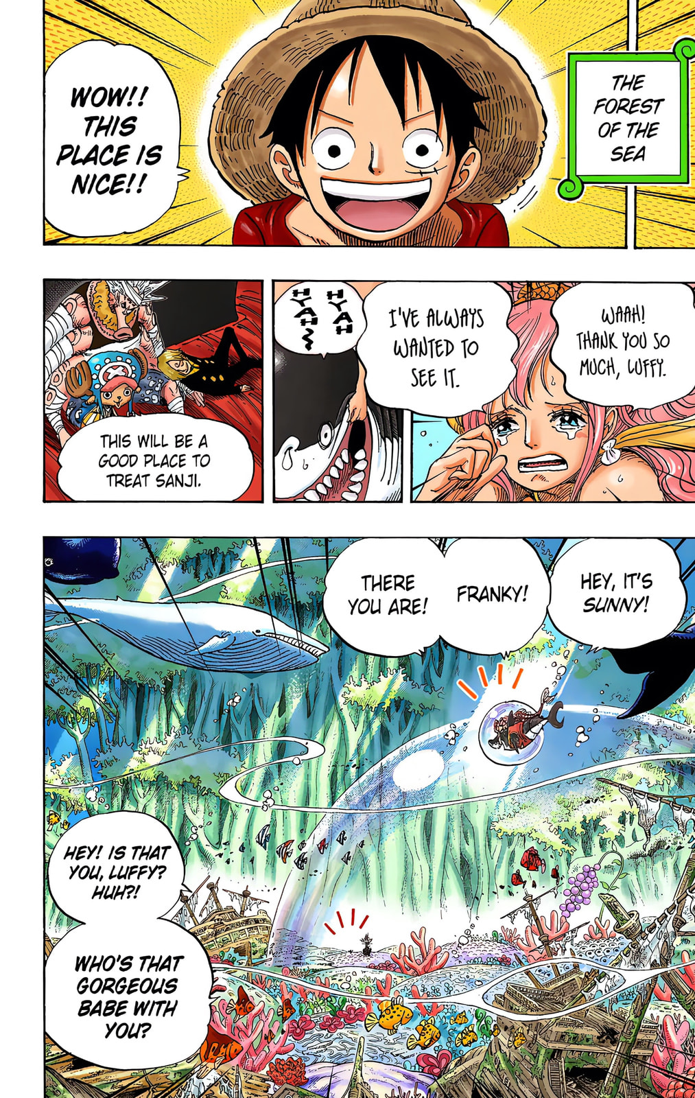 Read One Piece (Colored) chapter 619 image 7 on Lezhin