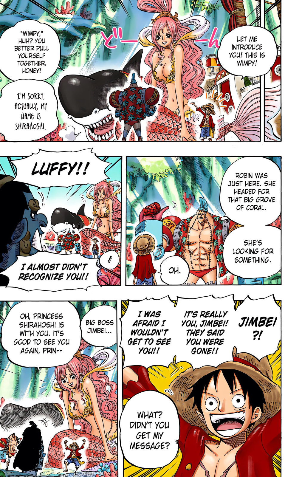 Read One Piece (Colored) chapter 619 image 8 on Lezhin