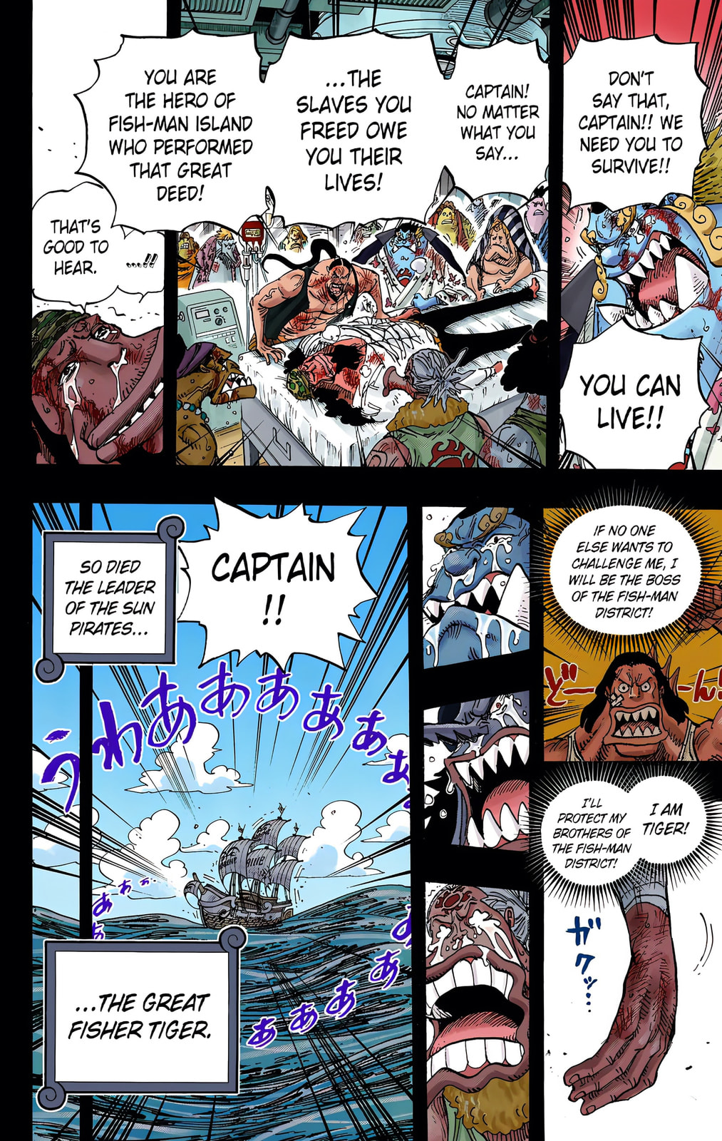 Read One Piece (Colored) chapter 623 image 17 on Lezhin