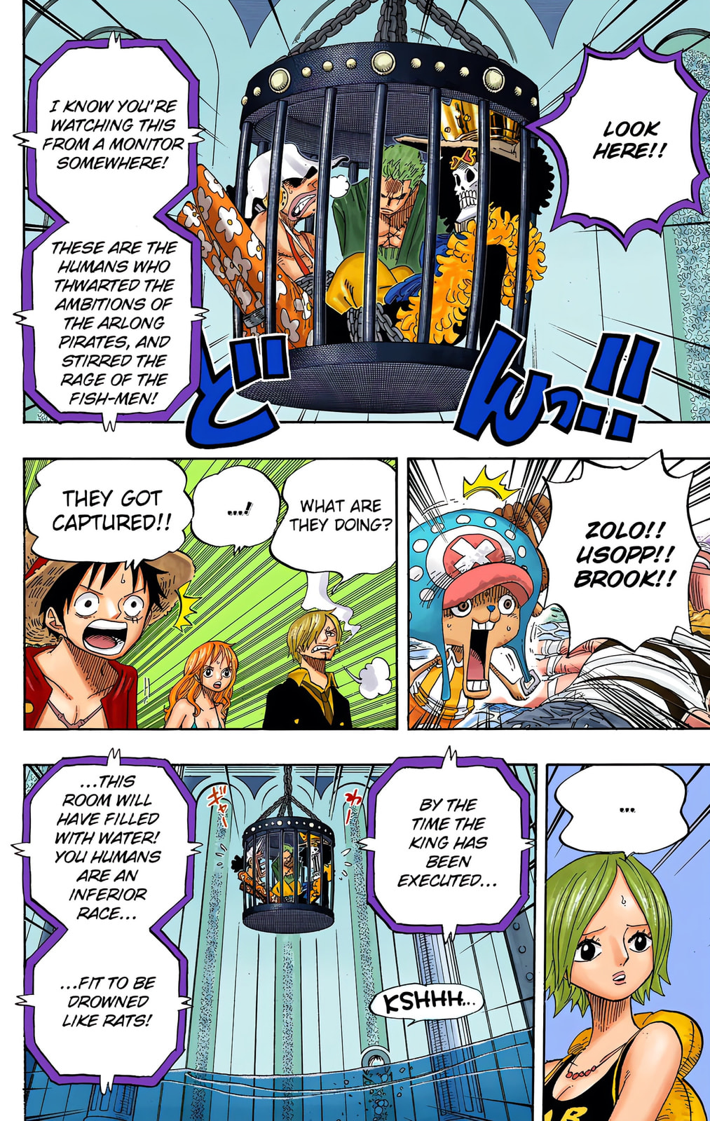 Read One Piece (Colored) chapter 628 image 11 on Lezhin