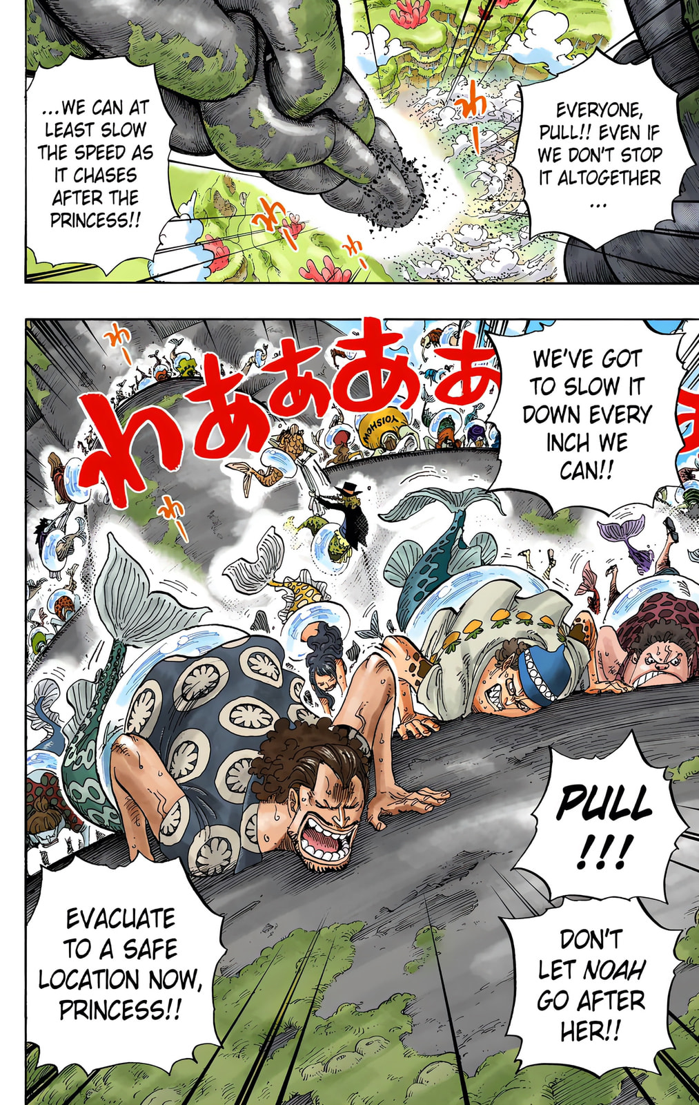 Read One Piece (Colored) chapter 638 image 5 on Lezhin