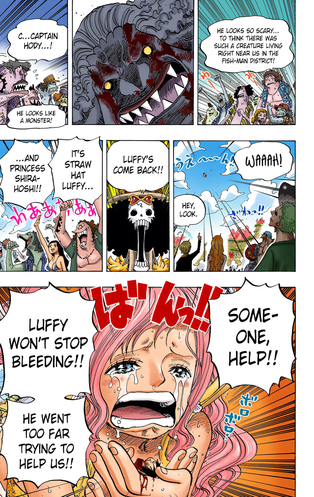 Read One Piece (Colored) chapter 648 image 11 on Lezhin