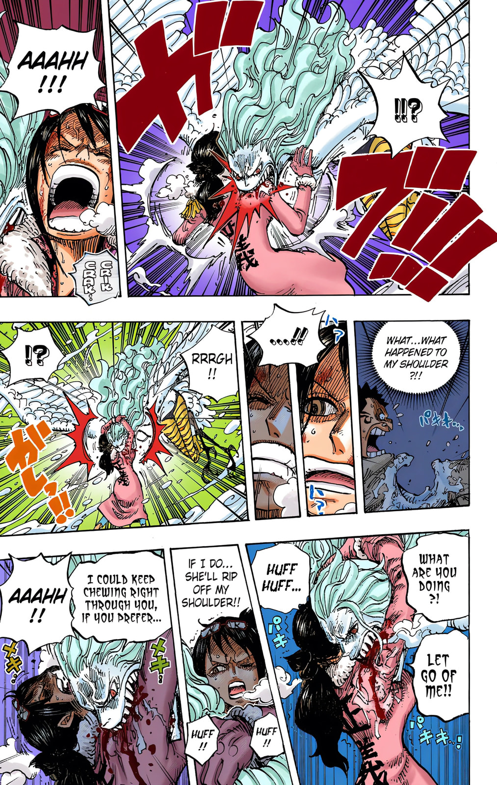 Read One Piece (Colored) chapter 687 image 10 on Lezhin