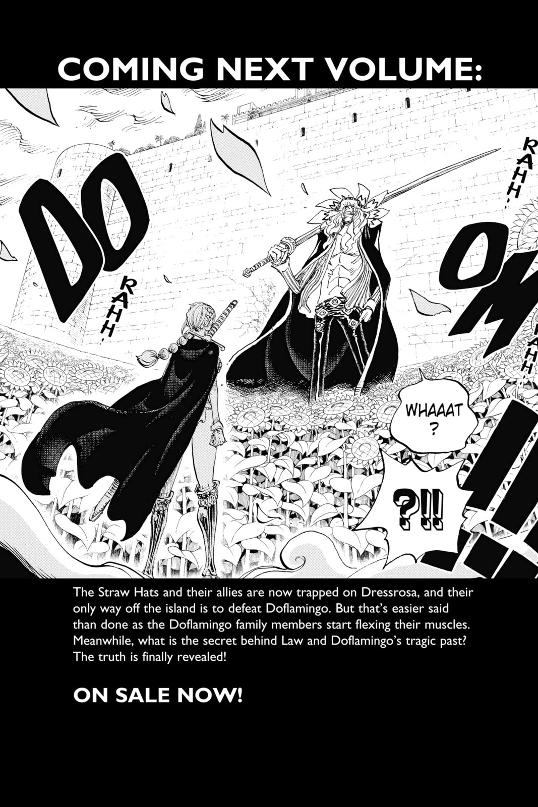 Read One Piece (Colored) chapter 752 image 16 on Lezhin