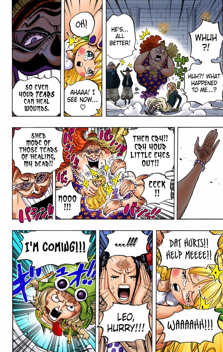 Read One Piece (Colored) chapter 774 image 8 on Lezhin