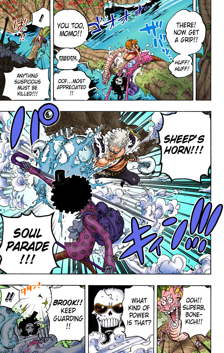 Read One Piece (Colored) chapter 795 image 6 on Lezhin