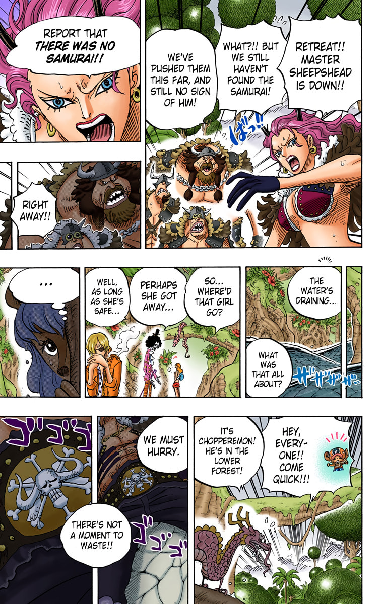 Read One Piece (Colored) chapter 795 image 8 on Lezhin
