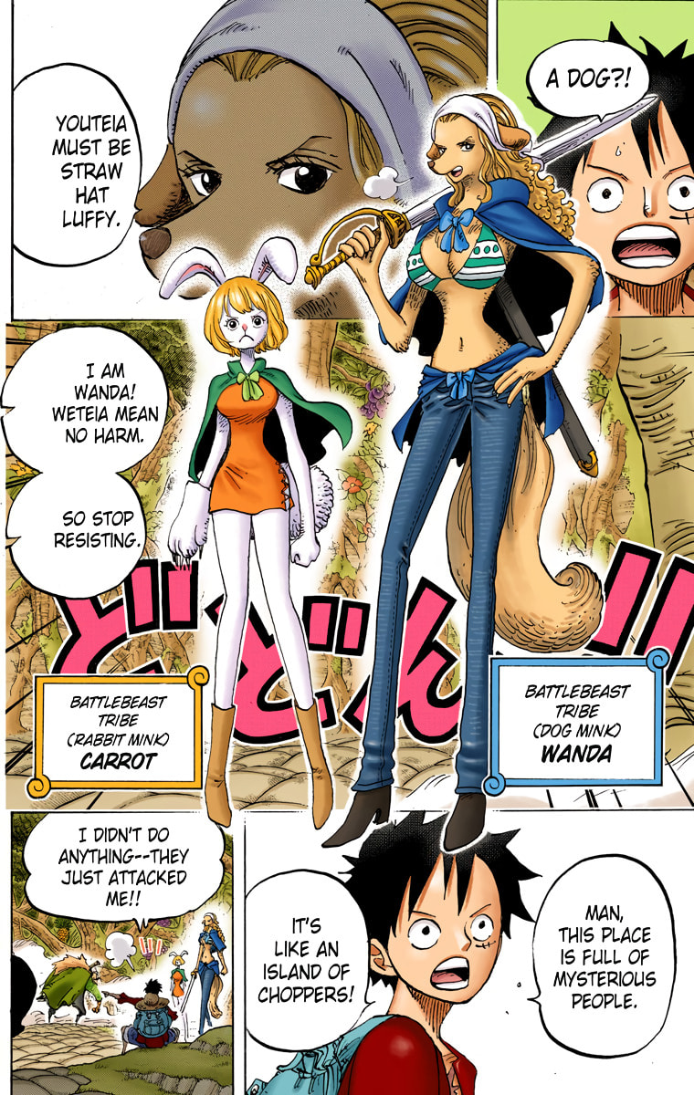 Read One Piece (Colored) chapter 805 image 10 on Lezhin
