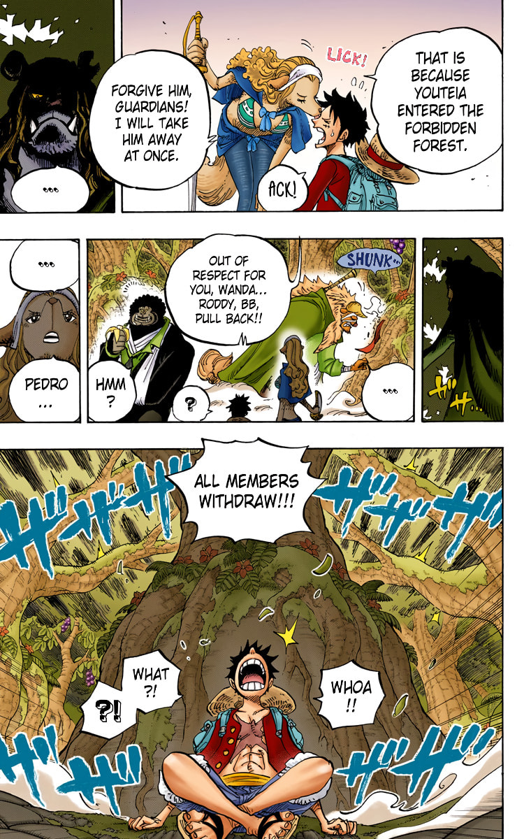 Read One Piece (Colored) chapter 805 image 11 on Lezhin