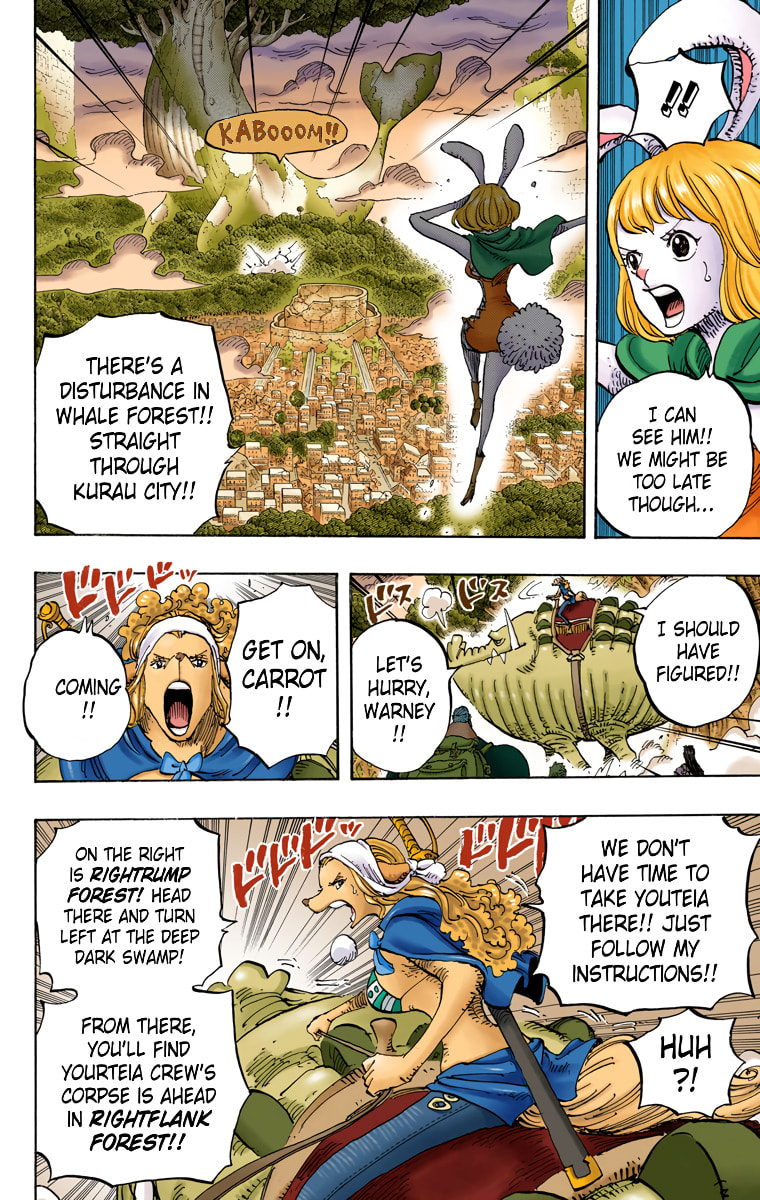 Read One Piece (Colored) chapter 805 image 3 on Lezhin