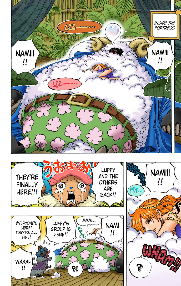 Read One Piece (Colored) chapter 806 image 11 on Lezhin