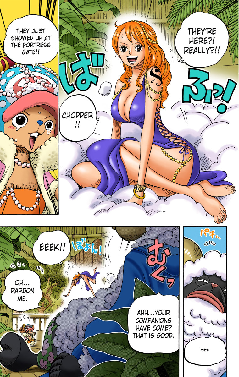 Read One Piece (Colored) chapter 806 image 12 on Lezhin