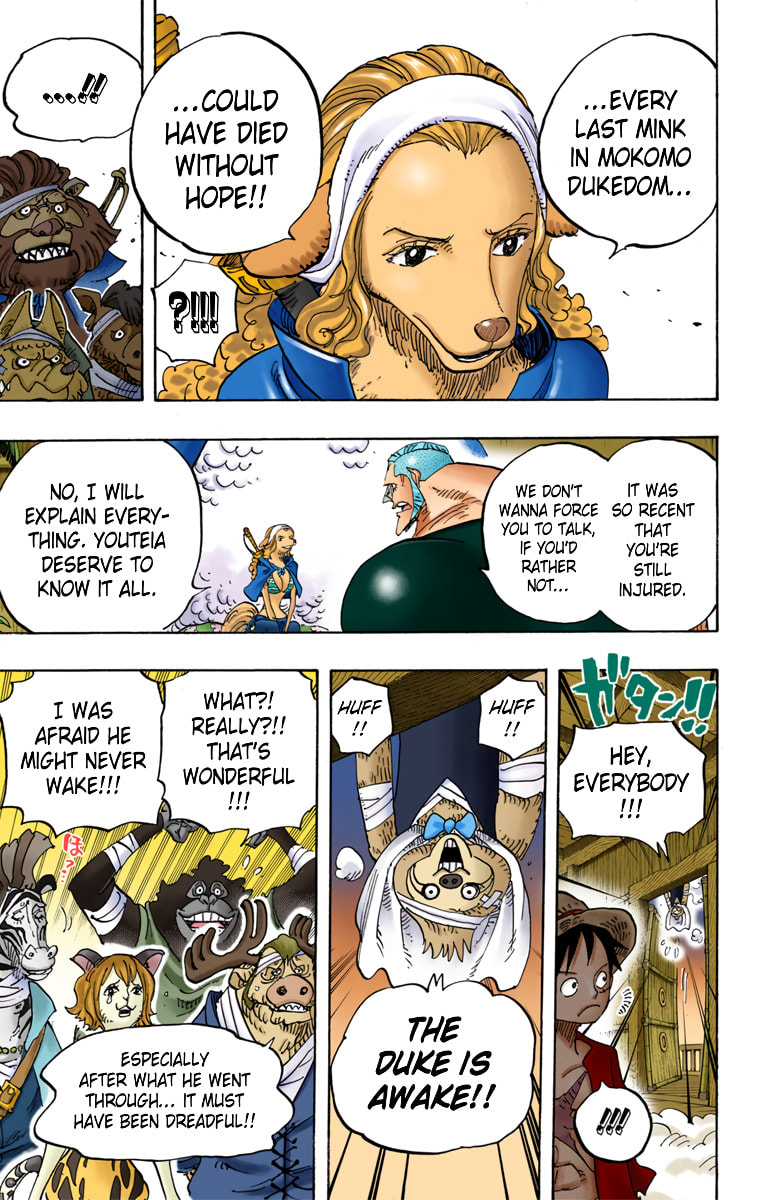 Read One Piece (Colored) chapter 807 image 11 on Lezhin