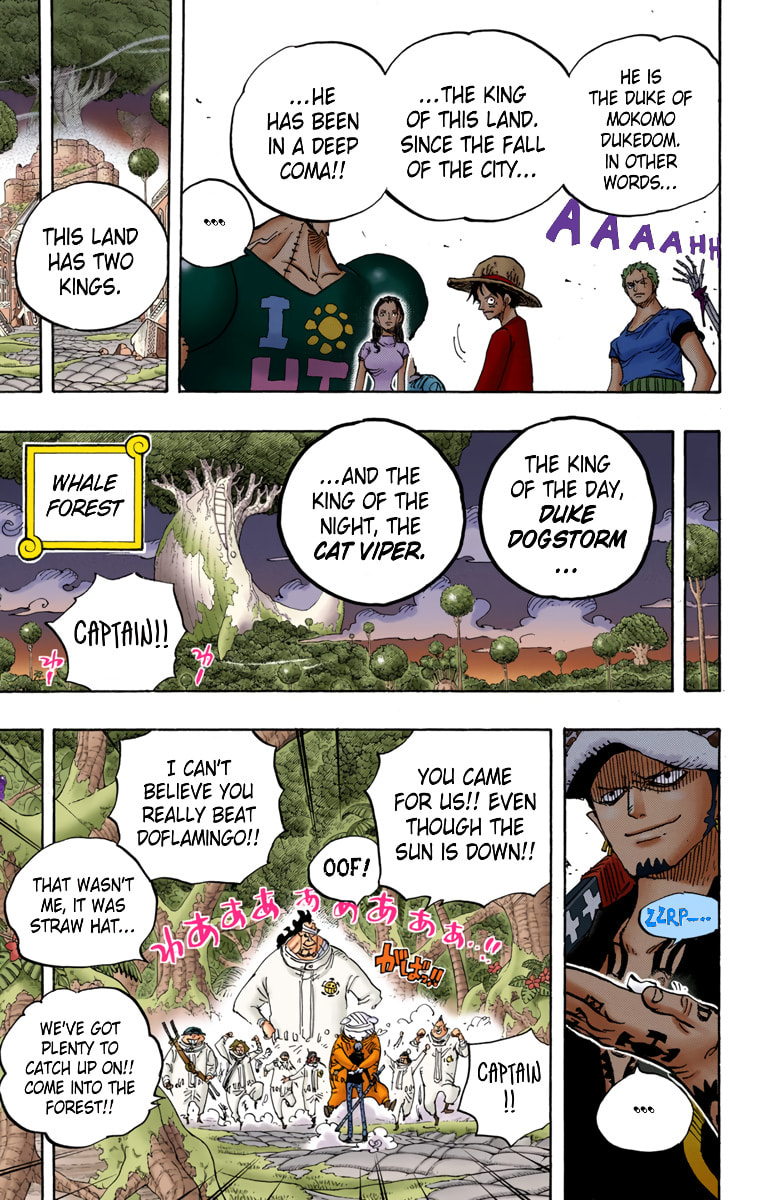 Read One Piece (Colored) chapter 807 image 13 on Lezhin