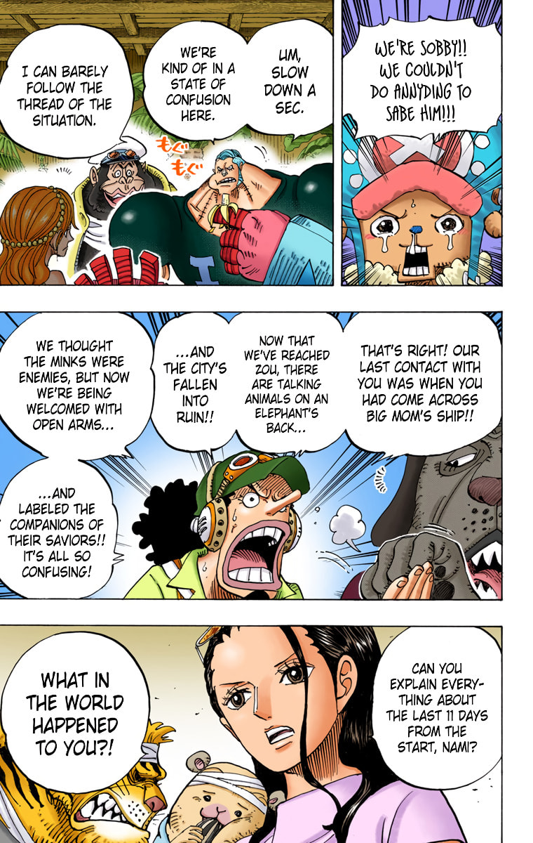 Read One Piece (Colored) chapter 807 image 5 on Lezhin