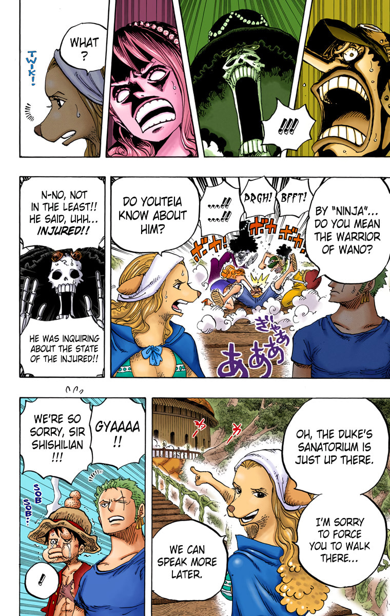 Read One Piece (Colored) chapter 808 image 10 on Lezhin