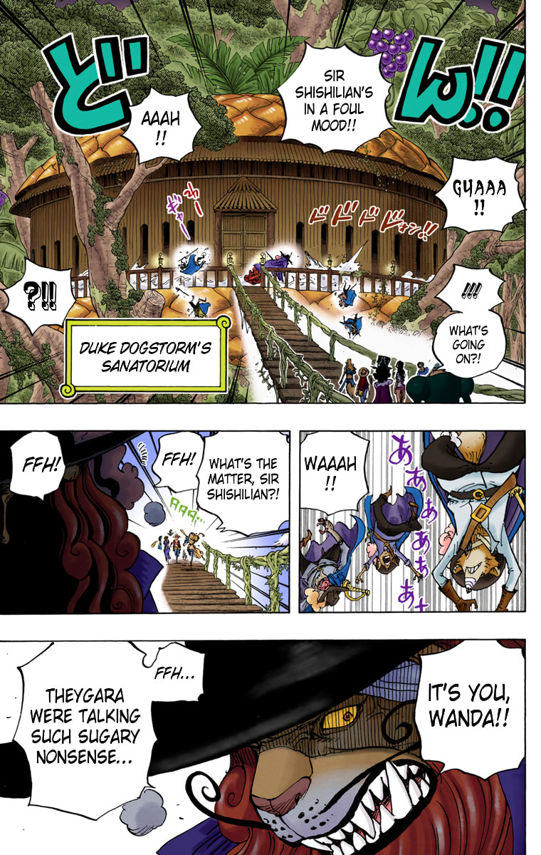 Read One Piece (Colored) chapter 808 image 11 on Lezhin