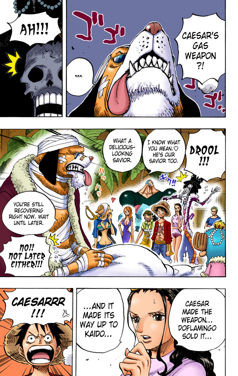 Read One Piece (Colored) chapter 809 image 2 on Lezhin