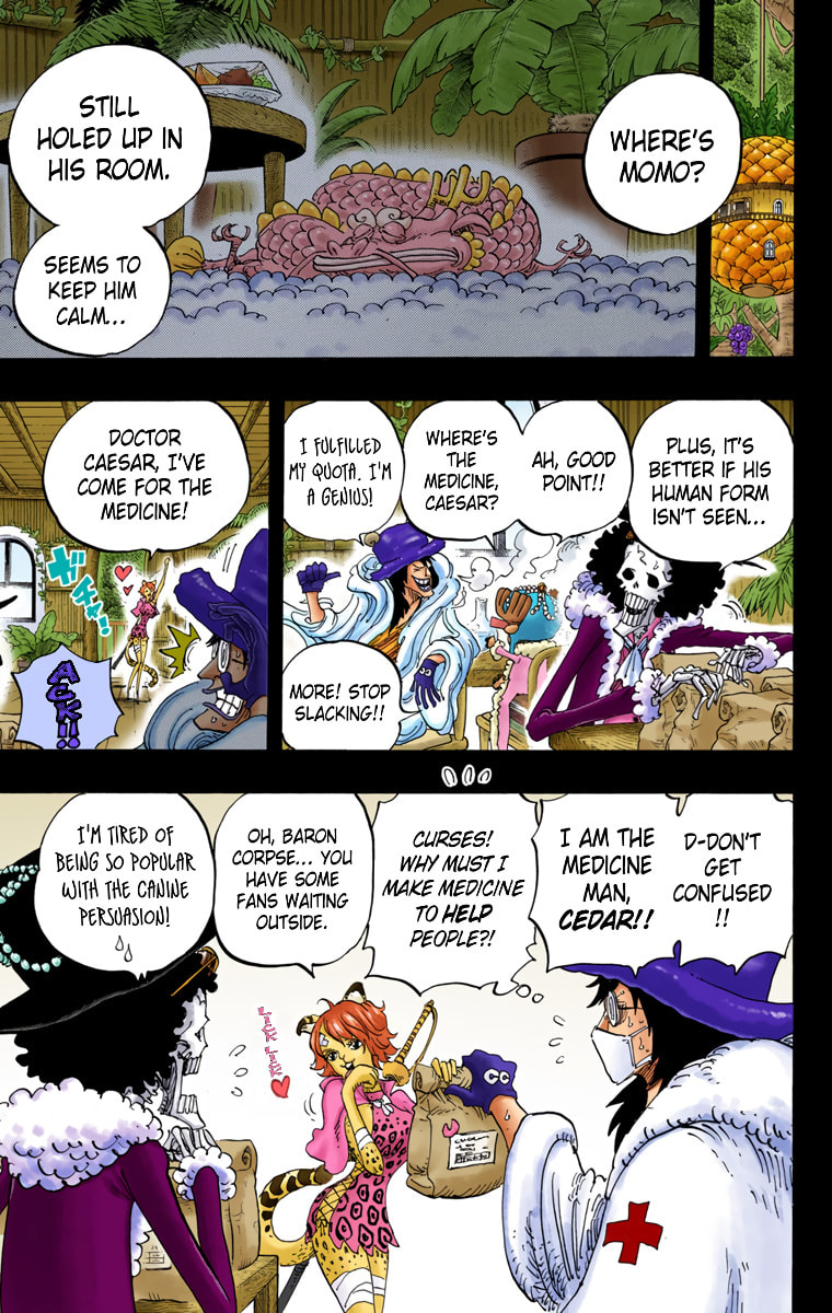 Read One Piece (Colored) chapter 812 image 4 on Lezhin
