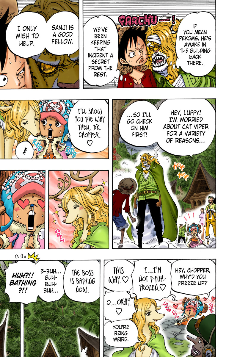 Read One Piece (Colored) chapter 814 image 11 on Lezhin