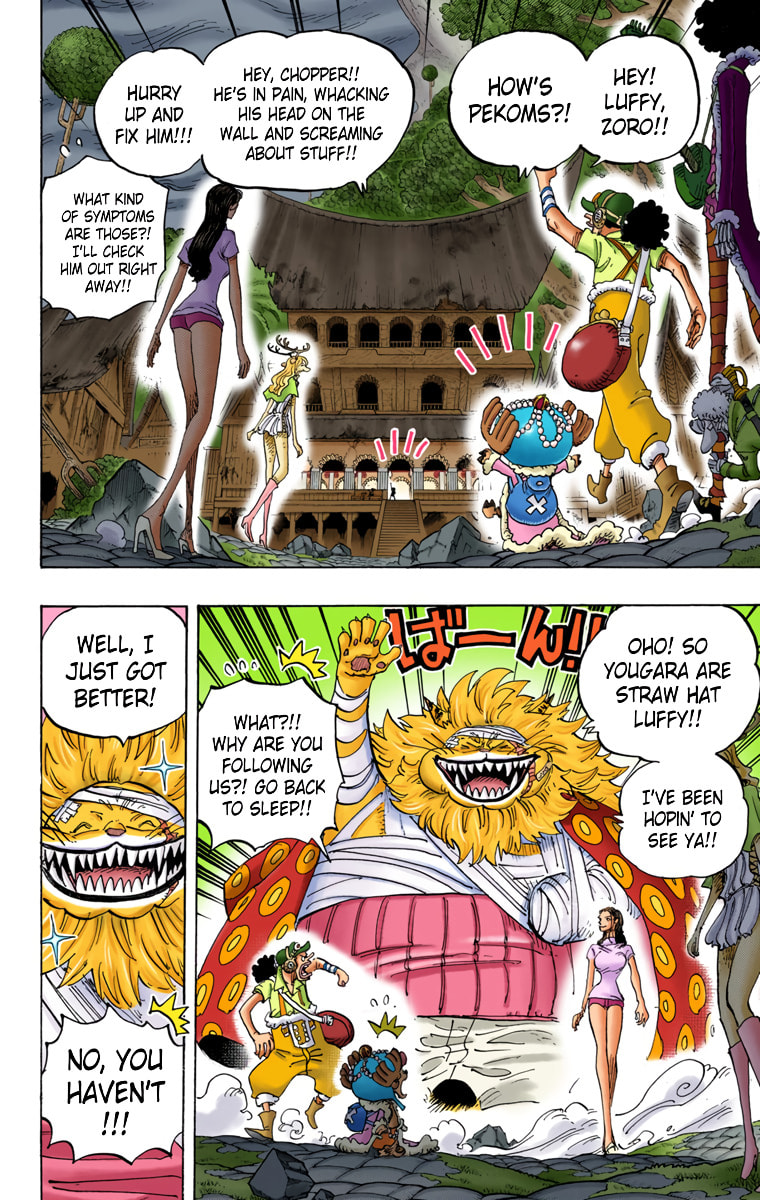 Read One Piece (Colored) chapter 815 image 9 on Lezhin