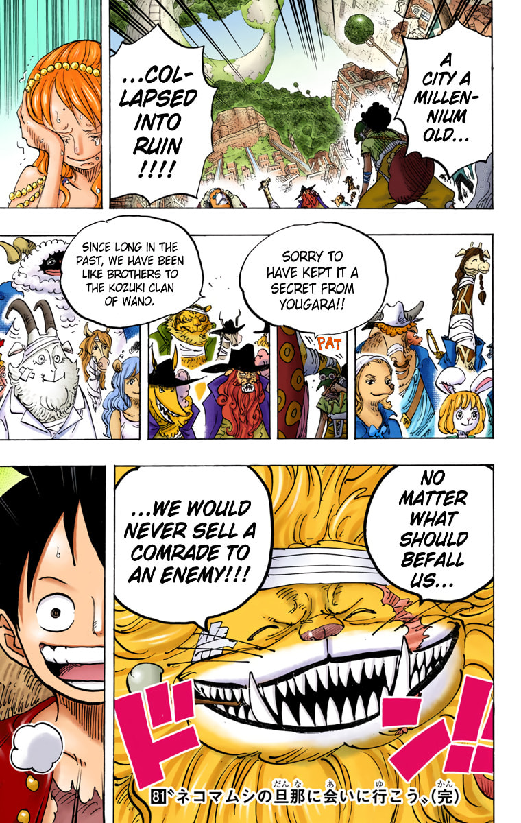Read One Piece (Colored) chapter 816 image 15 on Lezhin