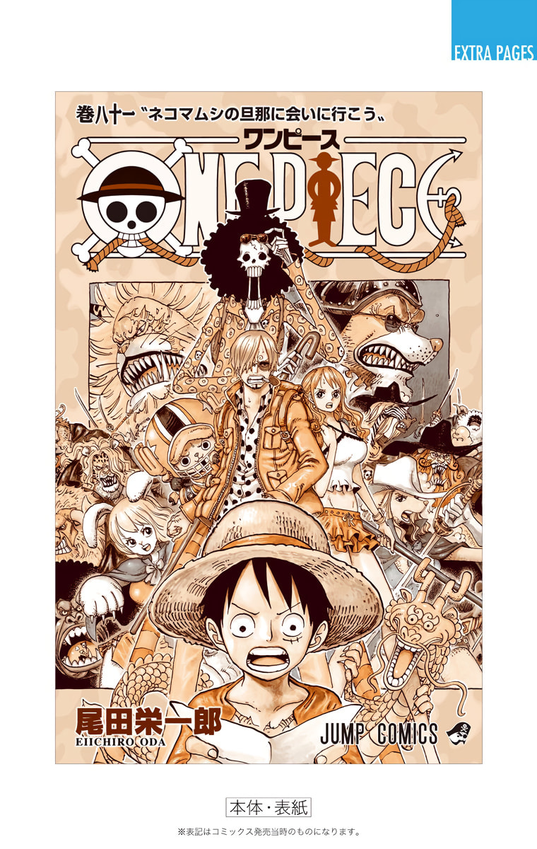 Read One Piece (Colored) chapter 816 image 28 on Lezhin