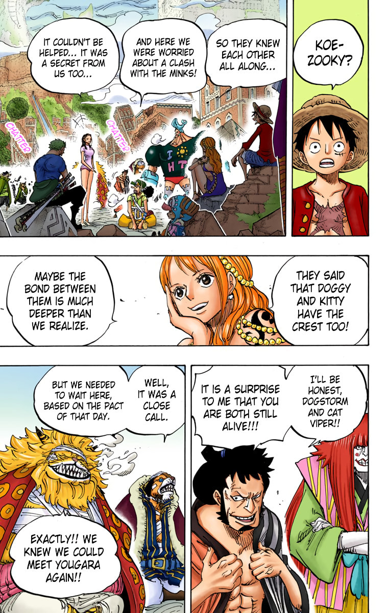 Read One Piece (Colored) chapter 817 image 5 on Lezhin