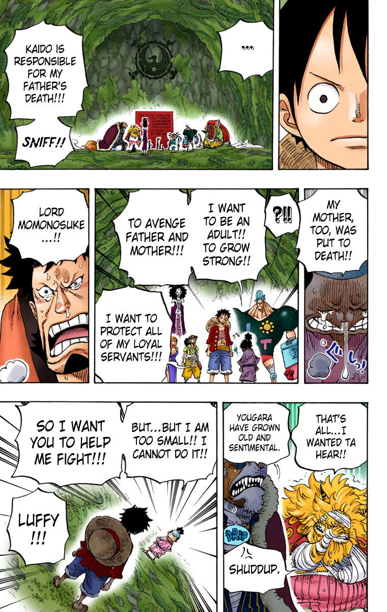 Read One Piece (Colored) chapter 819 image 11 on Lezhin