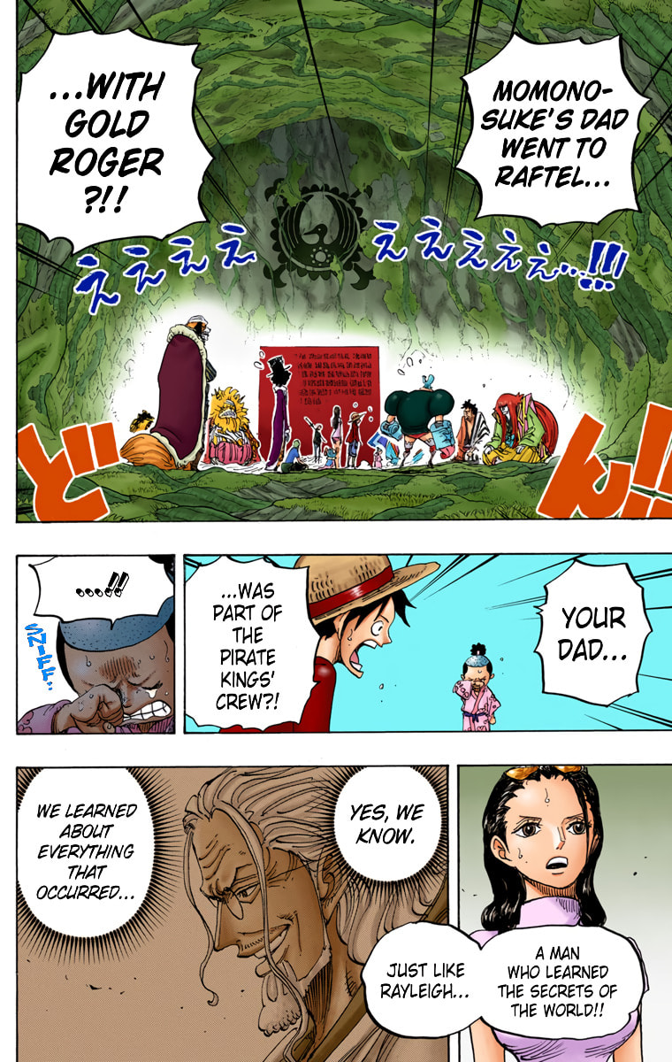 Read One Piece (Colored) chapter 819 image 2 on Lezhin
